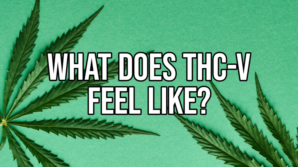 What does THC-V feel like?