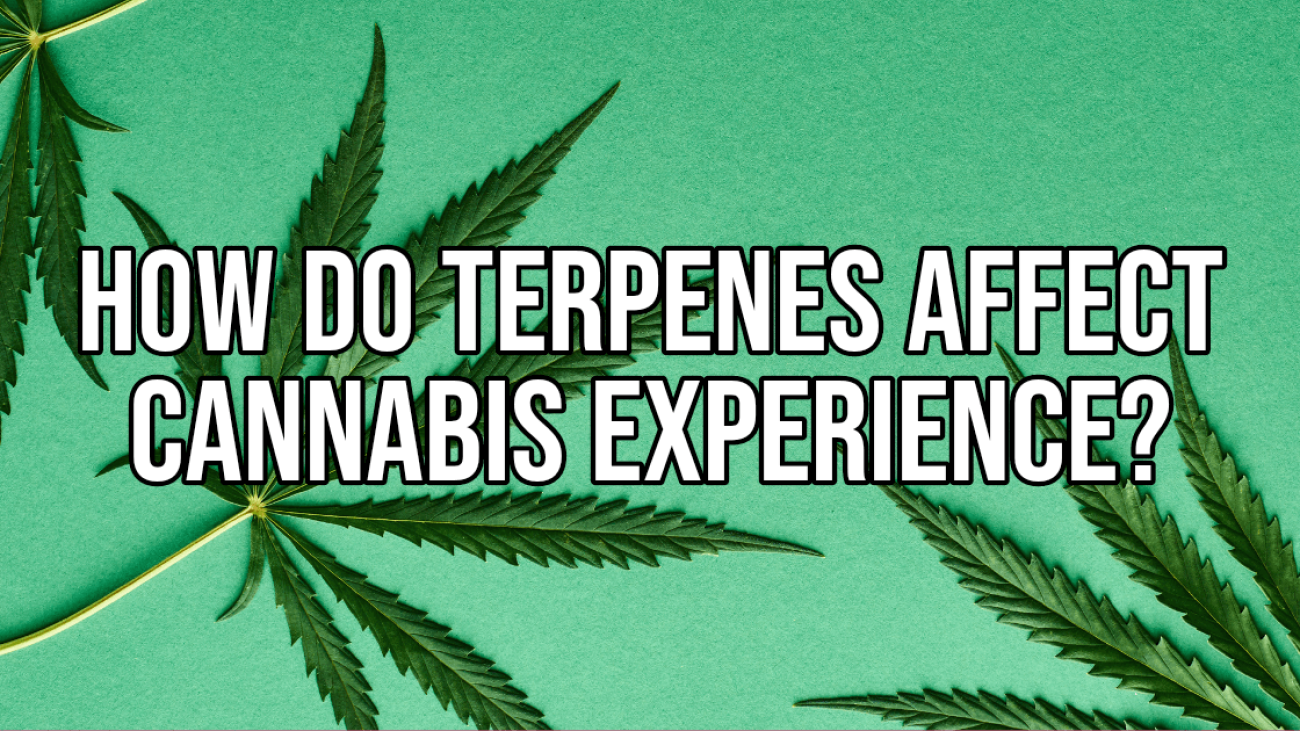 How do Terpenes Affect Cannabis Experience