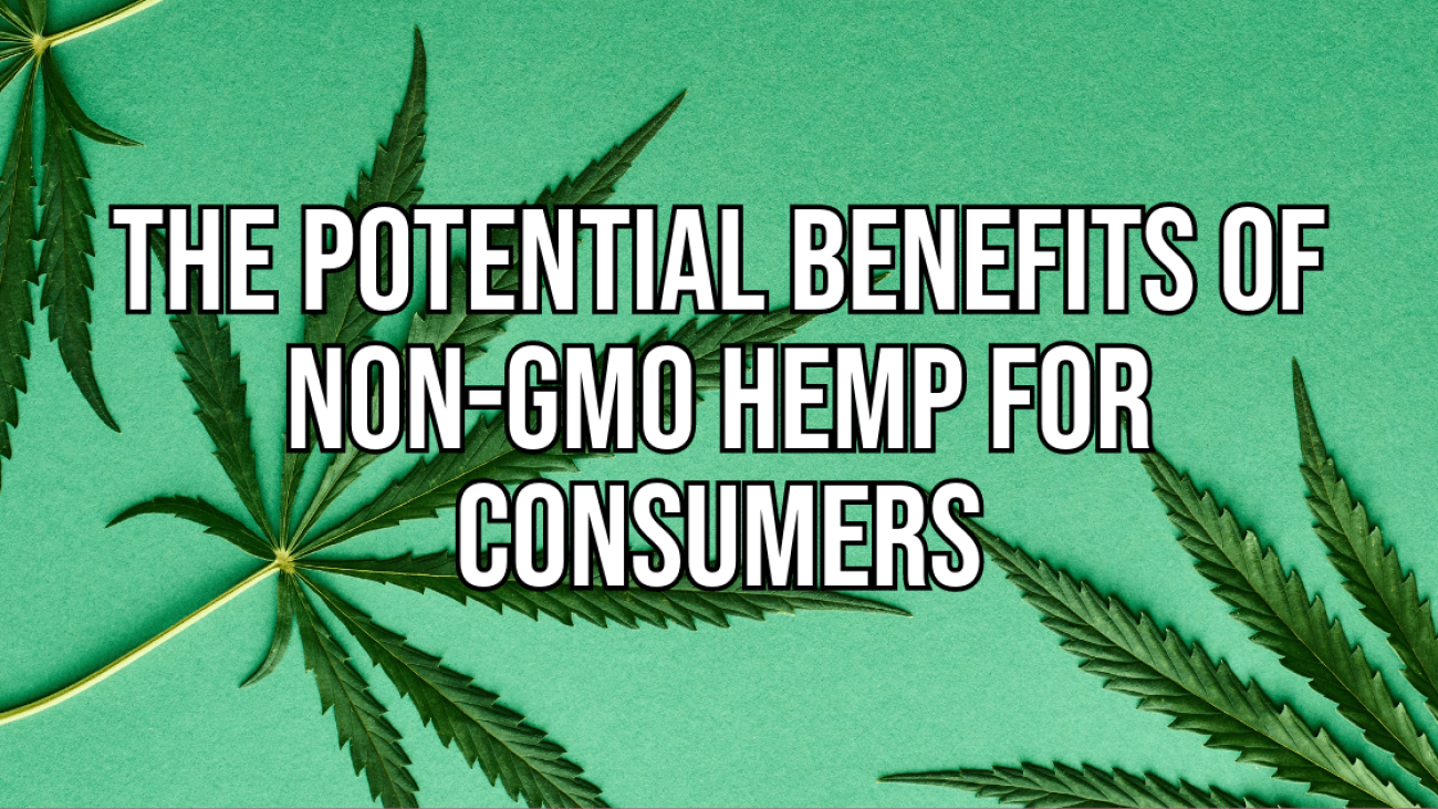 The Potential Benefits of Non-GMO Hemp for Consumers