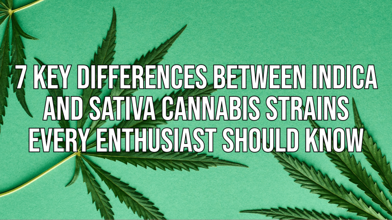 7 Key Differences Between Indica and Sativa Cannabis Strains Every Enthusiast Should Know