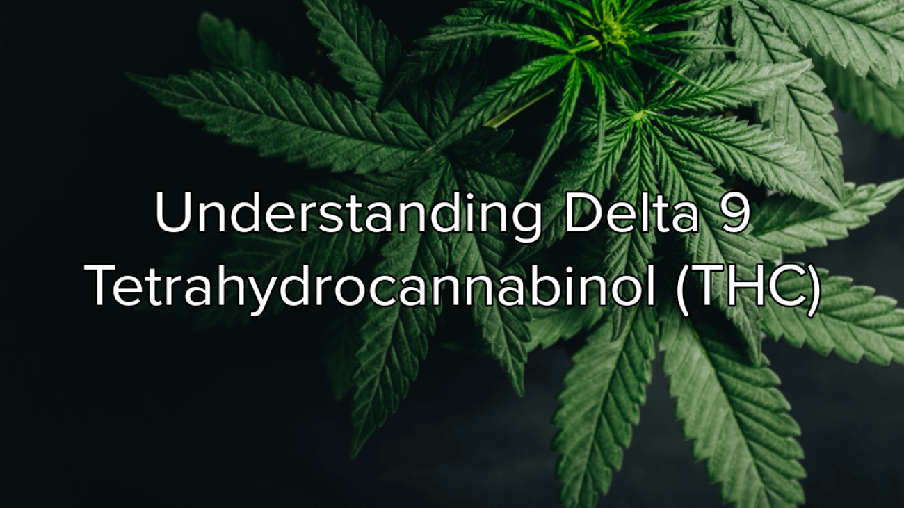 Understanding Delta 9 Tetrahydrocannabinol (THC)