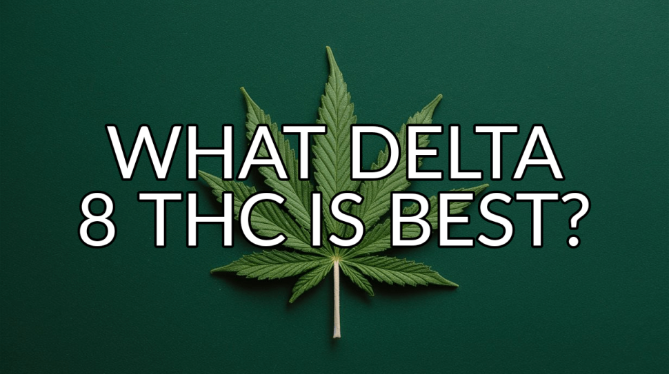 What Delta 8 THC is best in 2024?