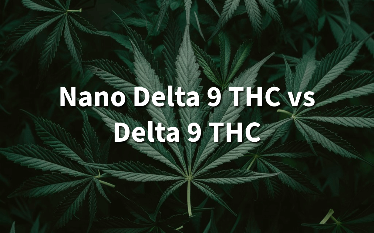 Nano Delta 9 THC vs Delta 9 THC